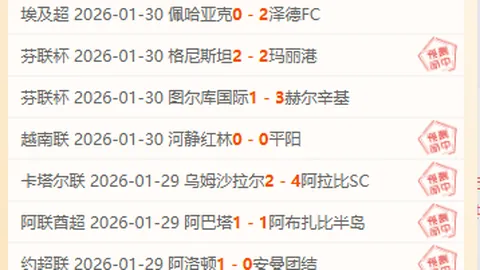 莱比锡VS沃尔夫斯堡 第29轮德甲对决